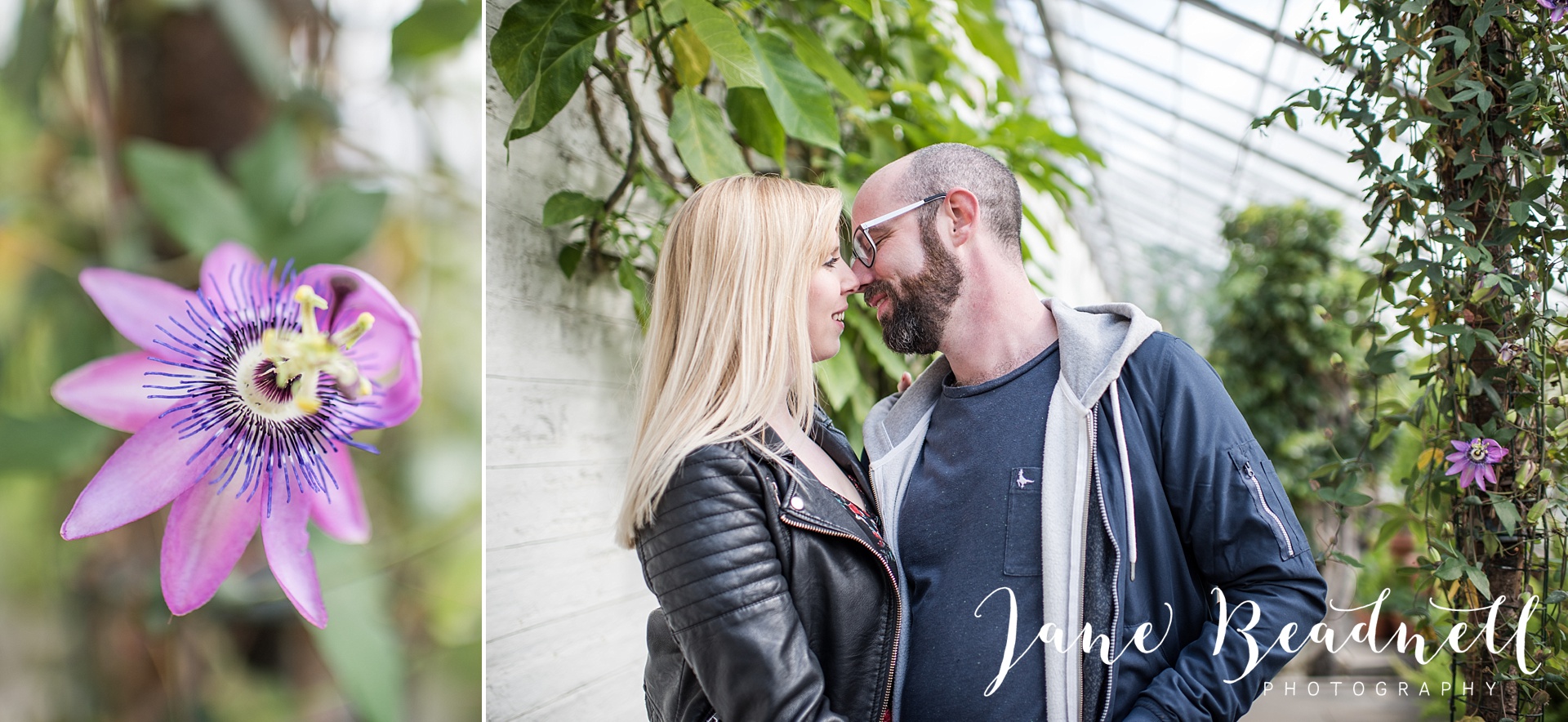 Temple Newsam engagement photography by Jane Beadnell Wedding Photography_0018