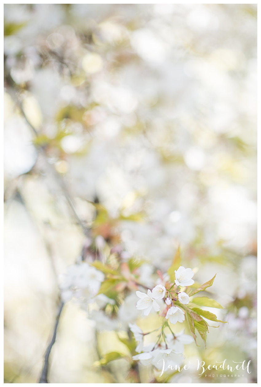 Ilkley Family Portrait Photographer